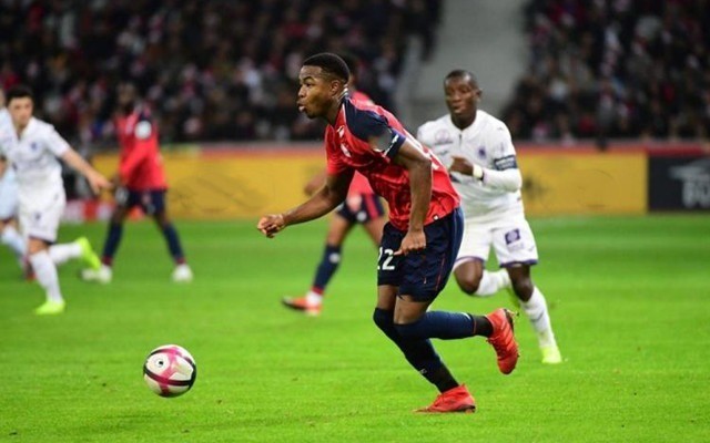 引擎中排名 引擎中排名