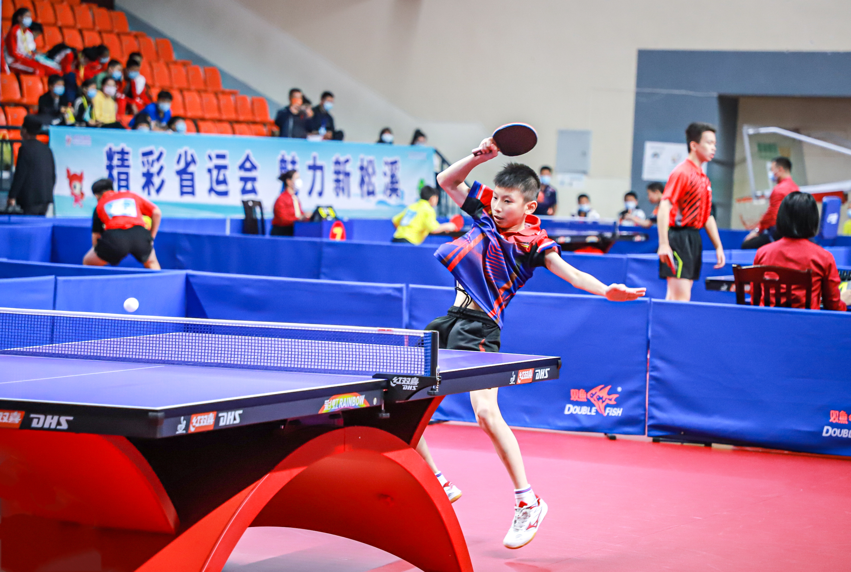 山东马术队 山东马术队