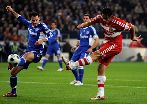 活力与国家 活力与国家