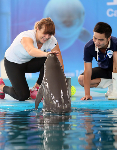 可能导致扣 可能导致扣